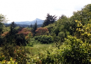  Bosque mediterráneo 